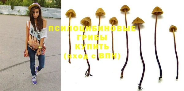 мет Заречный