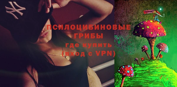 мет Аркадак