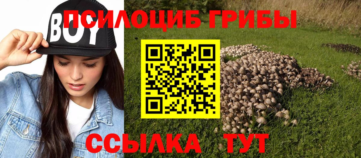 Галлюциногенные грибы Magic Shrooms Карачаевск