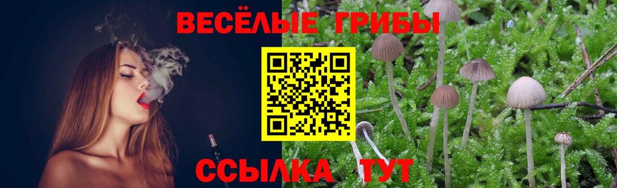 Псилоцибиновые грибы MAGIC MUSHROOMS  Вход с VPN  Карачаевск 
