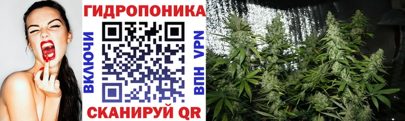 где можно купить наркотик  Карачаевск  Каннабис AK-47 